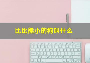 比比熊小的狗叫什么