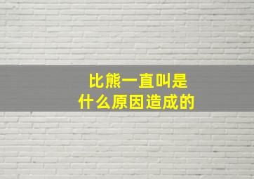 比熊一直叫是什么原因造成的