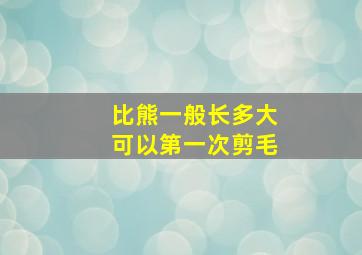 比熊一般长多大可以第一次剪毛