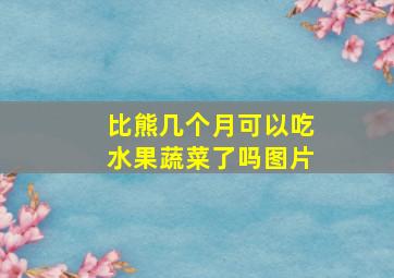 比熊几个月可以吃水果蔬菜了吗图片