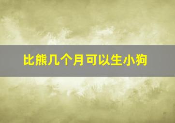 比熊几个月可以生小狗