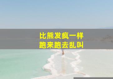 比熊发疯一样跑来跑去乱叫