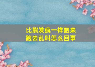 比熊发疯一样跑来跑去乱叫怎么回事