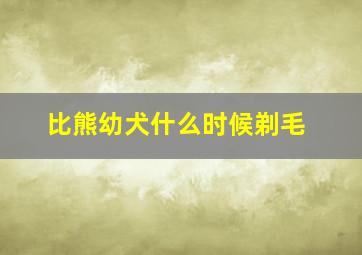 比熊幼犬什么时候剃毛