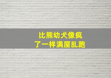 比熊幼犬像疯了一样满屋乱跑