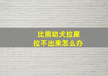 比熊幼犬拉屎拉不出来怎么办