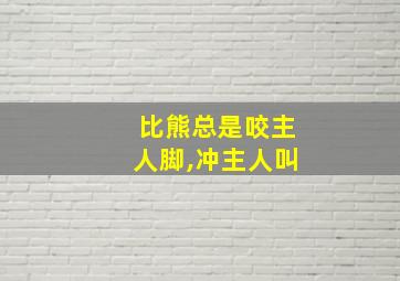 比熊总是咬主人脚,冲主人叫