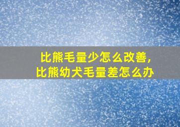 比熊毛量少怎么改善,比熊幼犬毛量差怎么办