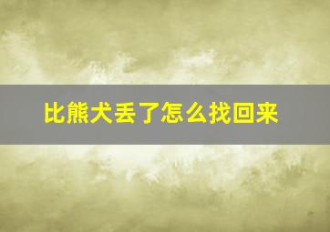 比熊犬丢了怎么找回来