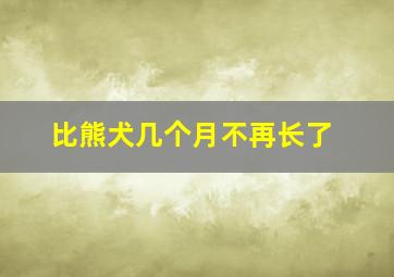 比熊犬几个月不再长了