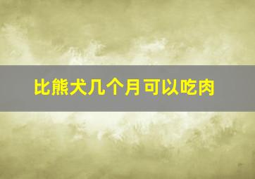 比熊犬几个月可以吃肉