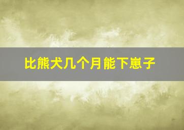 比熊犬几个月能下崽子