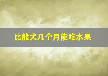 比熊犬几个月能吃水果