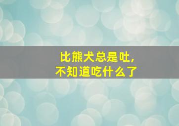 比熊犬总是吐,不知道吃什么了