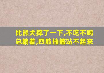 比熊犬摔了一下,不吃不喝总躺着,四肢抽搐站不起来