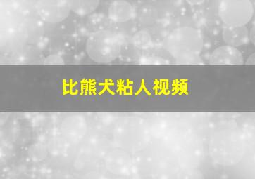 比熊犬粘人视频