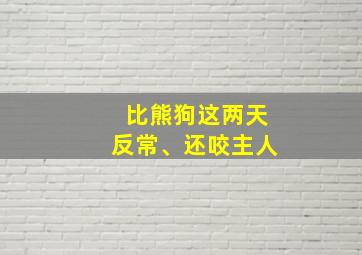 比熊狗这两天反常、还咬主人