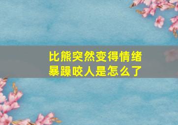 比熊突然变得情绪暴躁咬人是怎么了