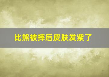 比熊被摔后皮肤发紫了