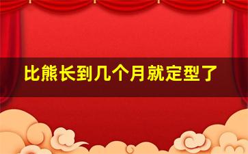 比熊长到几个月就定型了