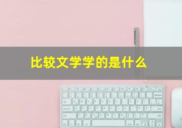 比较文学学的是什么