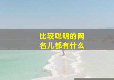 比较聪明的网名儿都有什么