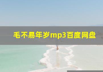 毛不易年岁mp3百度网盘