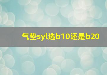 气垫syl选b10还是b20