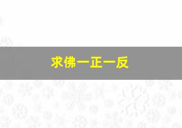 求佛一正一反