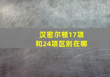 汉密尔顿17项和24项区别在哪