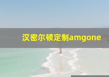 汉密尔顿定制amgone