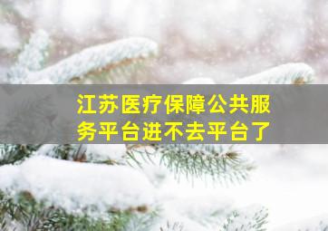 江苏医疗保障公共服务平台进不去平台了