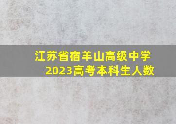 江苏省宿羊山高级中学2023高考本科生人数