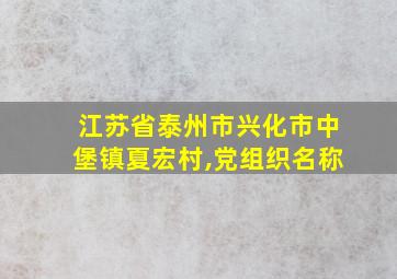 江苏省泰州市兴化市中堡镇夏宏村,党组织名称