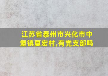 江苏省泰州市兴化市中堡镇夏宏村,有党支部吗