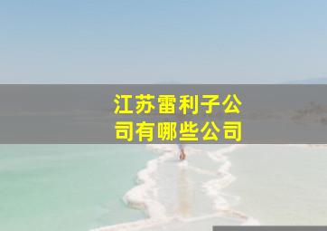 江苏雷利子公司有哪些公司