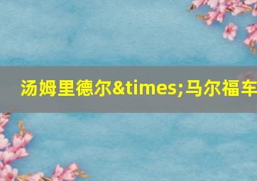 汤姆里德尔×马尔福车