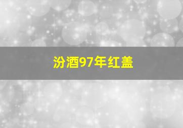 汾酒97年红盖