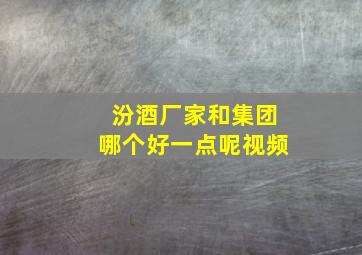 汾酒厂家和集团哪个好一点呢视频