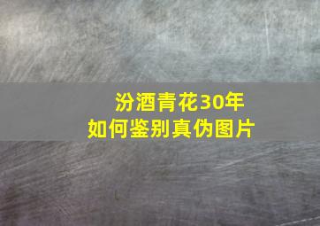 汾酒青花30年如何鉴别真伪图片