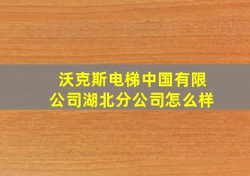 沃克斯电梯中国有限公司湖北分公司怎么样