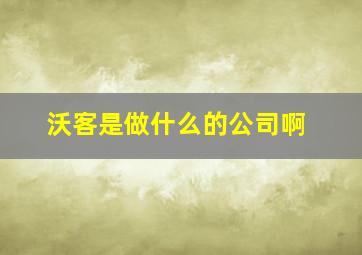 沃客是做什么的公司啊