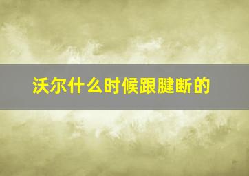 沃尔什么时候跟腱断的