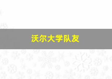 沃尔大学队友