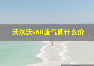 沃尔沃s60废气阀什么价