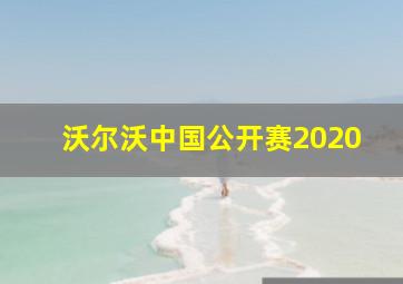 沃尔沃中国公开赛2020