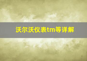 沃尔沃仪表tm等详解