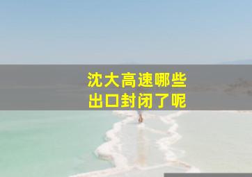 沈大高速哪些出口封闭了呢