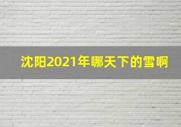 沈阳2021年哪天下的雪啊