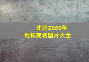 沈阳2050年地铁规划图片大全